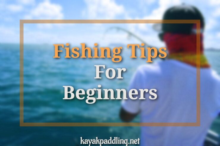 Nasveti za ribolov za začetnike