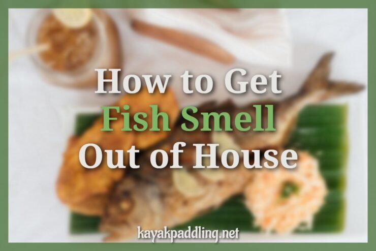 كيفية التخلص من رائحة السمك خارج المنزل