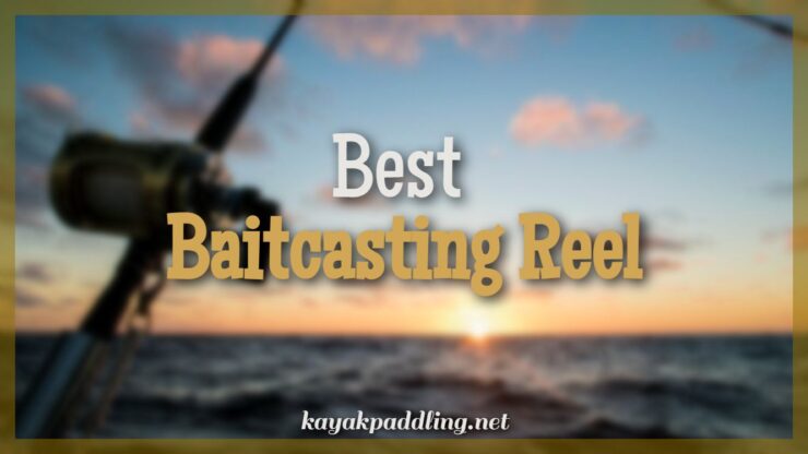 Best Baitcasting Reel