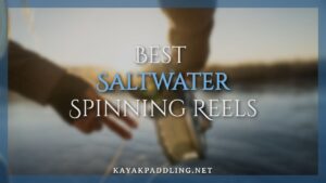 Best Saltwater Spinning Reels
