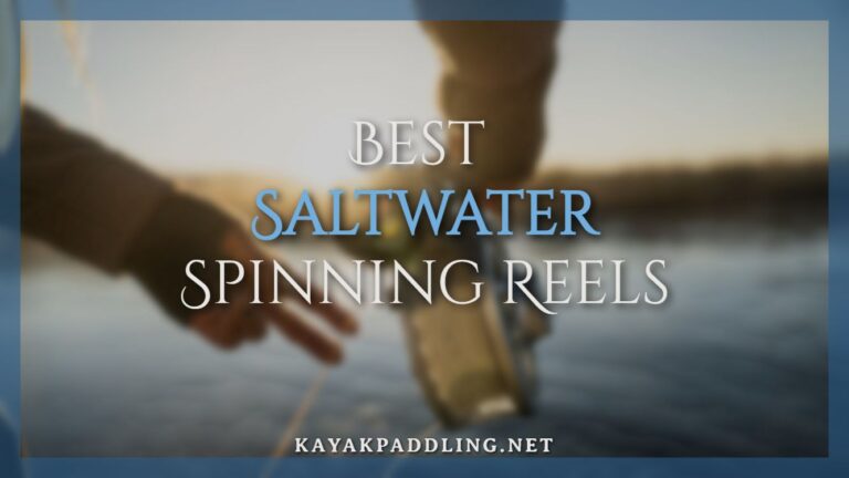 Die besten Salzwasser-Spinnrollen