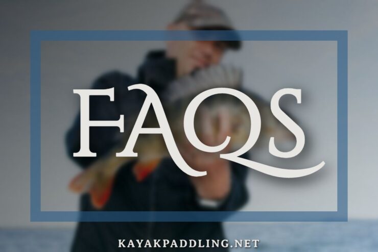FAQ Best Saltwater Spinning Reels