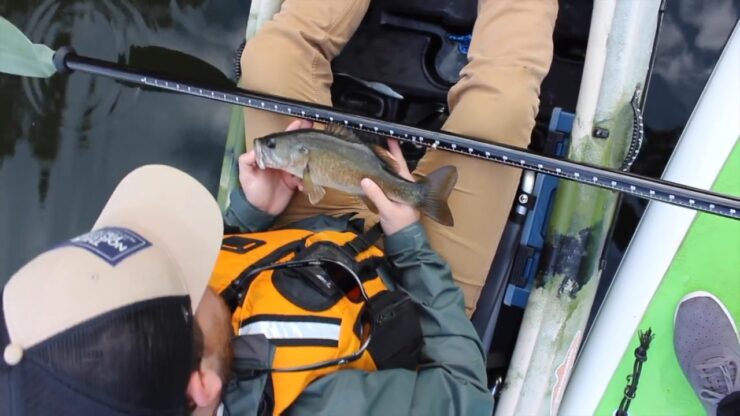 Come scegliere una pagaia per kayak per il design delle lame da pesca