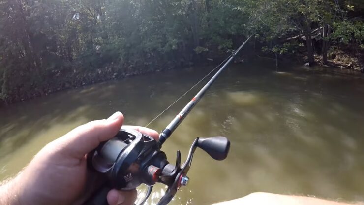 Cosas a considerar antes de comprar rodamientos de bolas de baitcasting