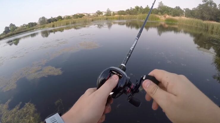 Things to Consider Before Buying a Baitcasting Reel