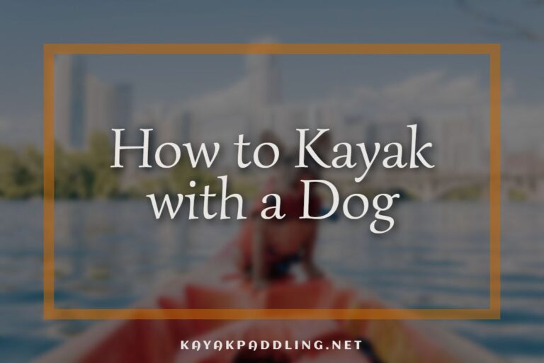 How to Kayak with a Dog