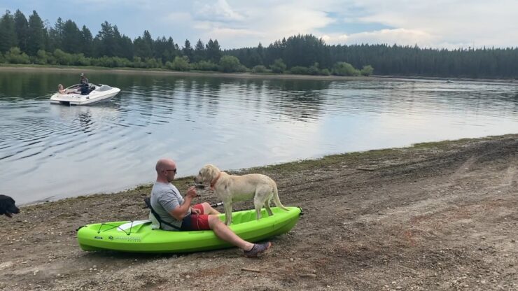 Kajak mit Ihrem Hund im Voraus vorbereiten