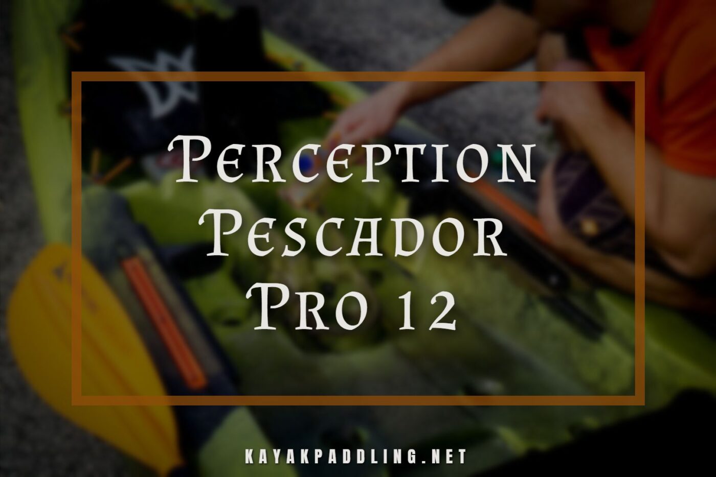 Revisión de Perception Pescador Pro 12