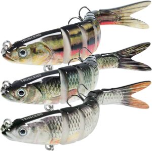 TRUSCEND Fishing Lures