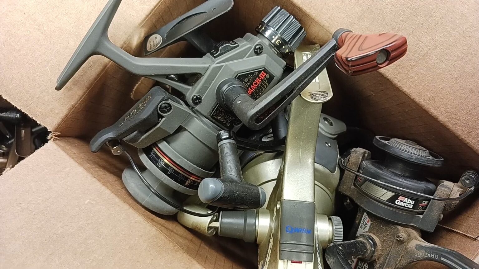 13 Best Kingfish Reels in 2024 Pick the Best for You!