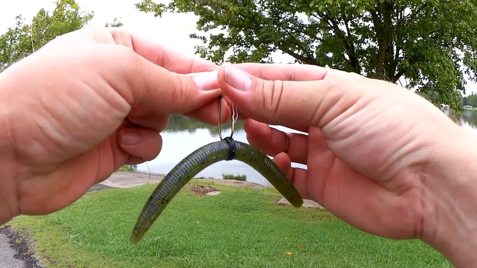 Beginner's Guide to Senkos How to Fish with Senko Worms