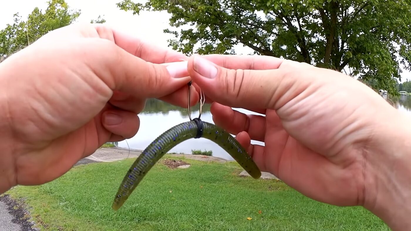 Beginner's Guide to Senkos How to Fish with Senko Worms
