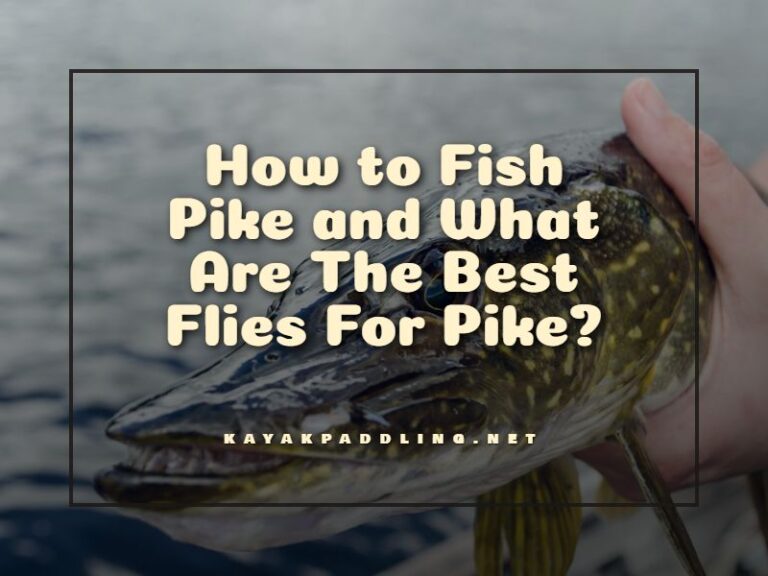 10 Mixed Pike Flies Sizes 1/0 & 2/0 Strong Hooks, Pike Fishing Flies 