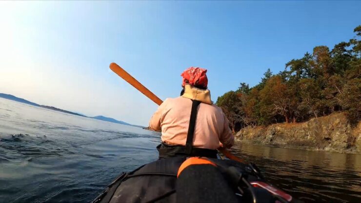 Kayaking works all of the major muscle groups