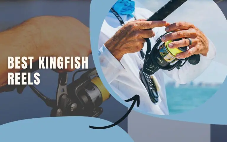 Kingfish Reels