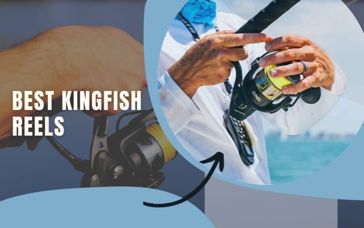 Kołowrotki Kingfish