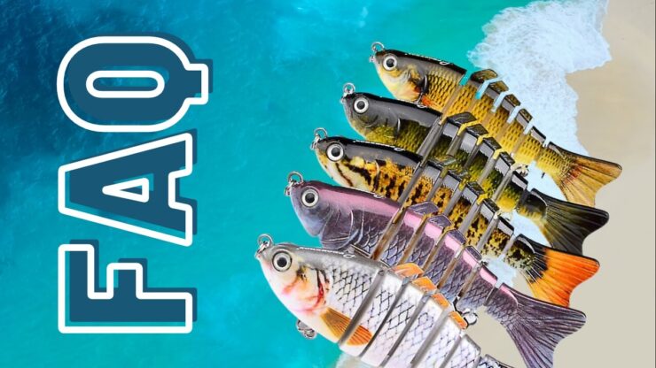 Tackle faqs