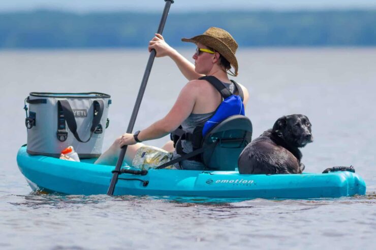 kayak cooler