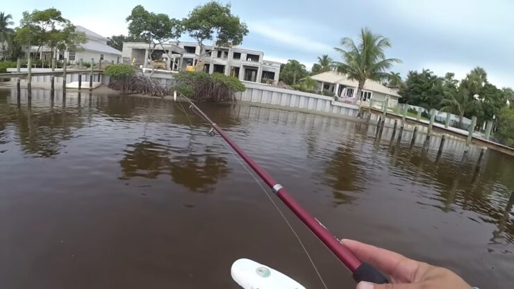 Fishing best tips