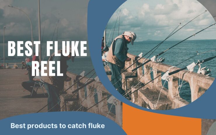 Fluke rulle