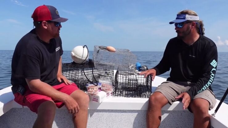 How to use Pinfish Traps