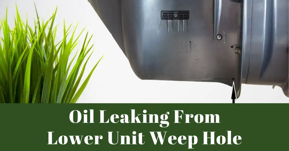 Oil Leaking From Lower Unit Weep Hole
