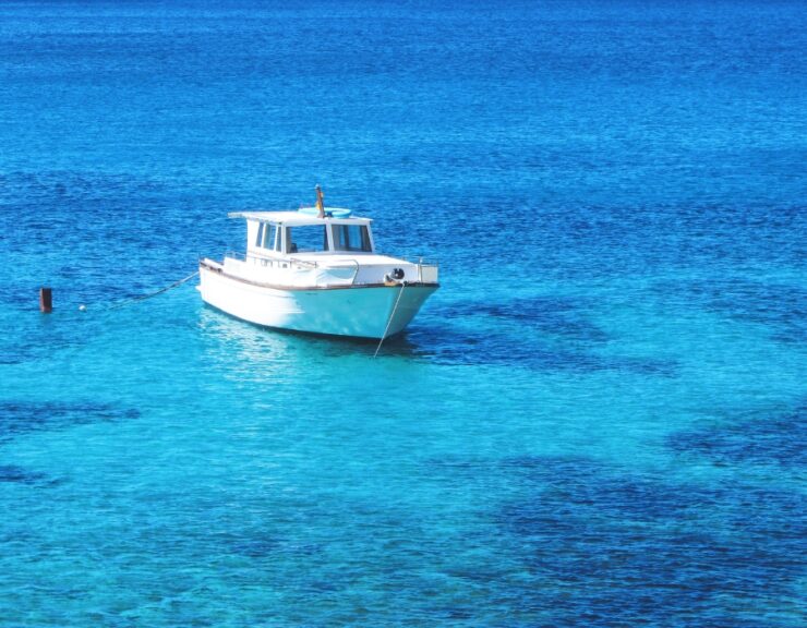 Sea Ray Vs Bayliner Which Boat Reigns Supreme?