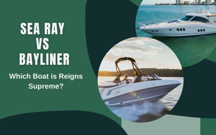 bayliner vs sea ray karşılaştırması