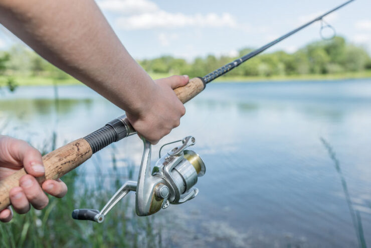 Best Catfish Reels