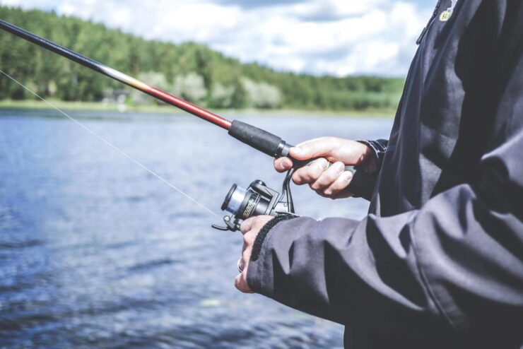 Best Spinning Rods For Trout