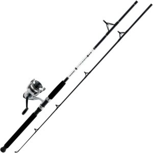 Daiwa D-Wave Ensemble de filature d'eau salée