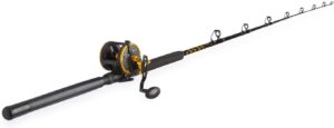 PENN Squall 30 Level Wind Fishing Rod and Trolling Reel Combo