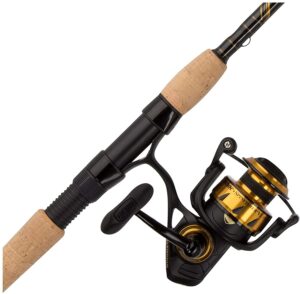 คอมโบน้ำเค็ม Penn Spinfisher VI