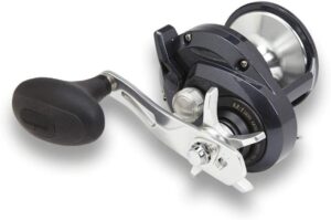 Мультипликаторная катушка Shimano Torium SW Saltwater Stardrag