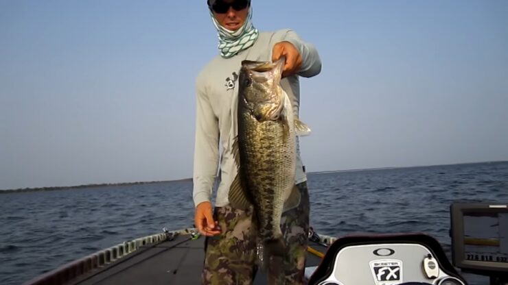 Deep Water Bass