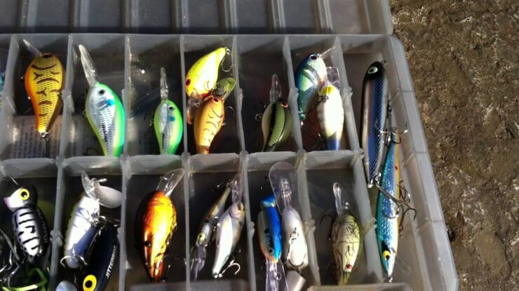 Gear To Catch Bass