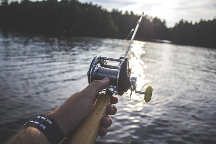 Glass Menagerie fishing