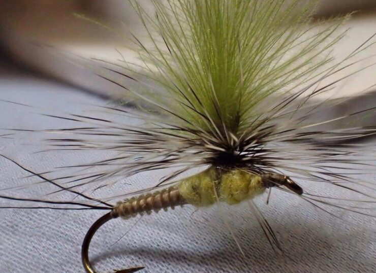 Green Drake Fly Pattern Fishing