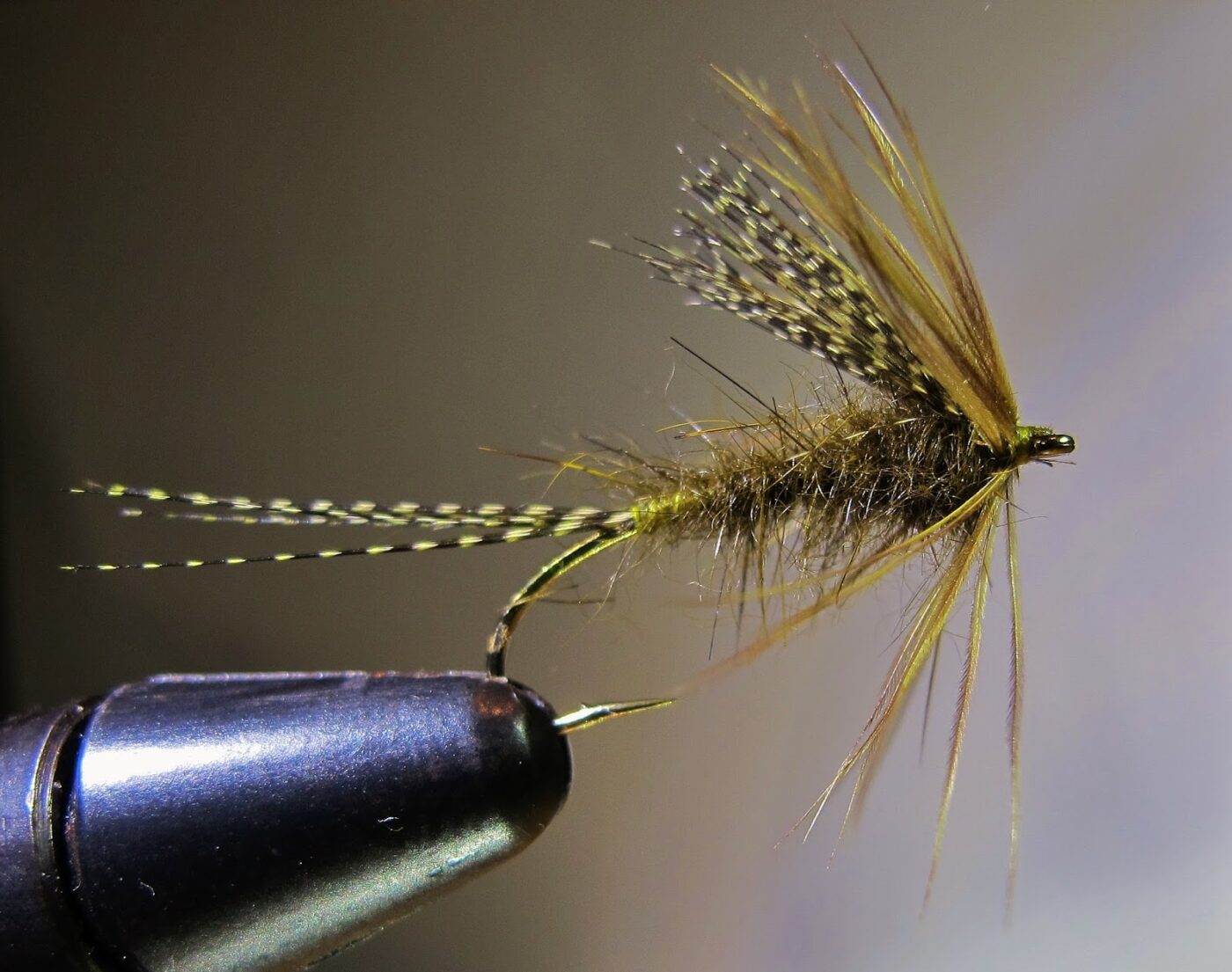 Green Drake Fly Pattern