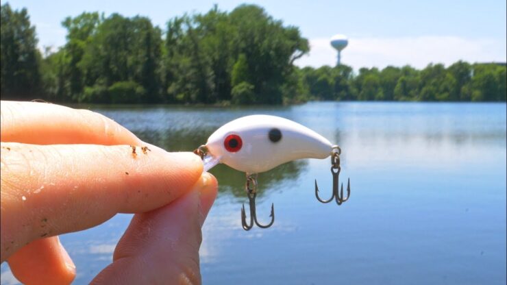 Como surgiram os Crankbaits