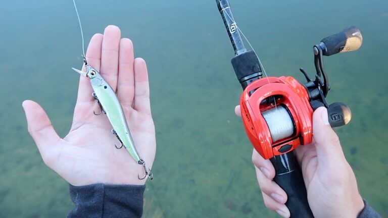Jerk Baits Bass Fishing
