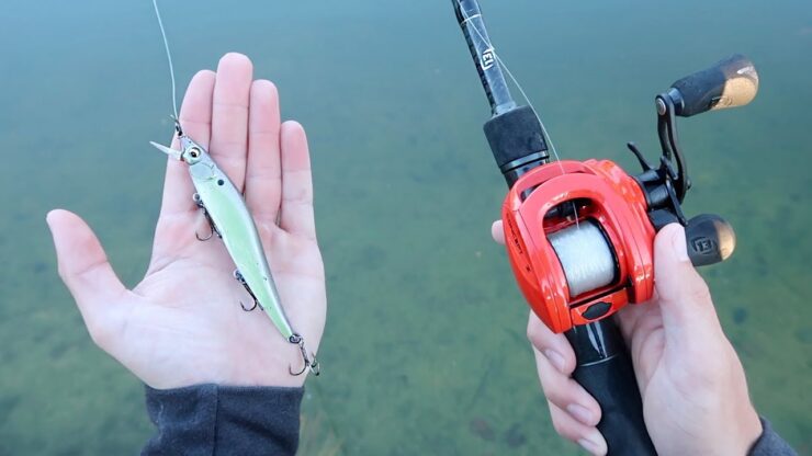 Jerk Baits Pêche à l'achigan