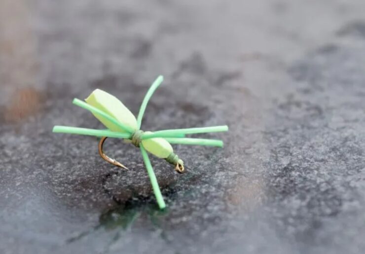 Pesca padrão de aranha