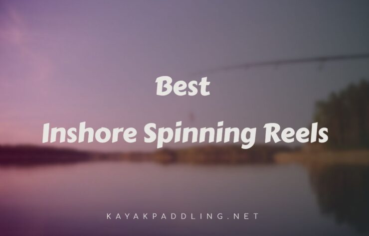 Best Inshore Spinning Reels