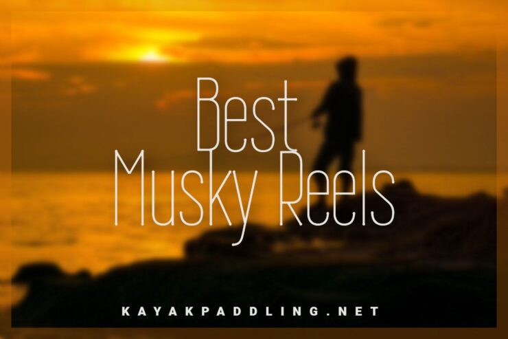 Beste Musky Reels