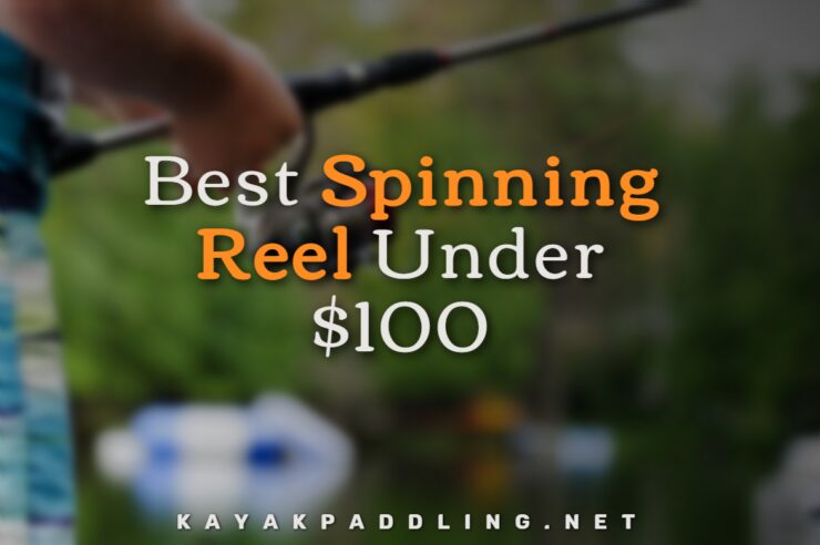 Best Spinning Reel Under $100