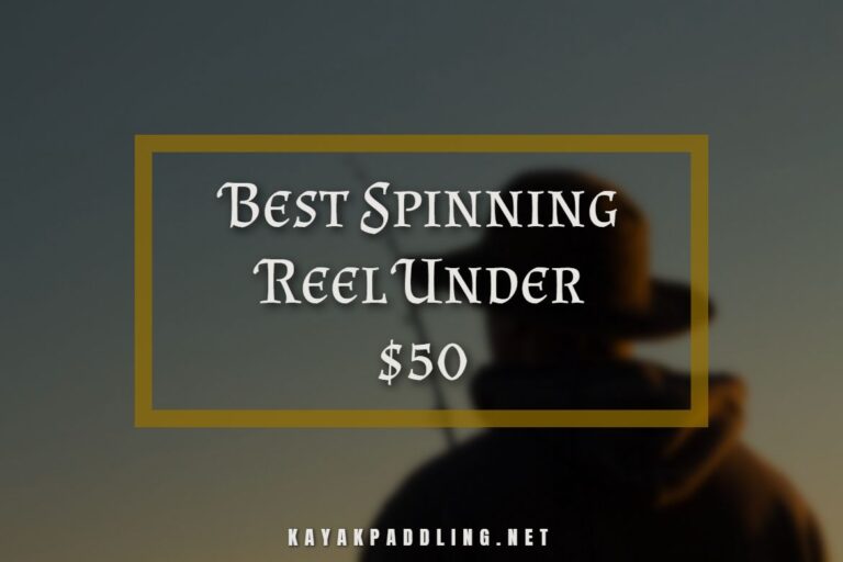 Best Spinning Reel Under $50