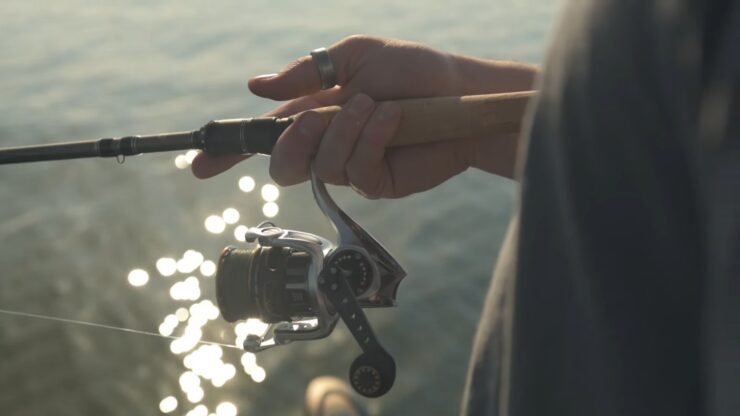 Gear-Ratio Best Ultralight Saltwater Spinning Reel