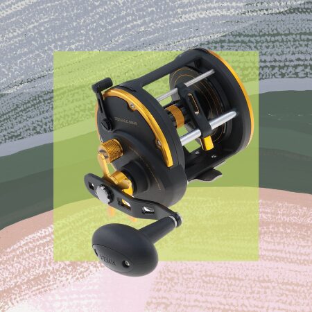 Penn SQL50LW Trolling Reel