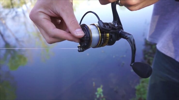 Apa yang Harus Diperhatikan Saat Membeli Desain Spinning Reel